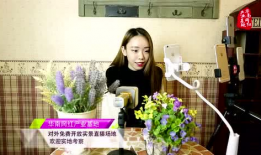 麻豆播播,揭秘网红直播背后的魅力与挑战